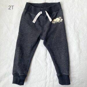 🪴5/$30 Roots 2T Grey Sweatpants Toddler Boys Girls Camping Outdoors Comfy